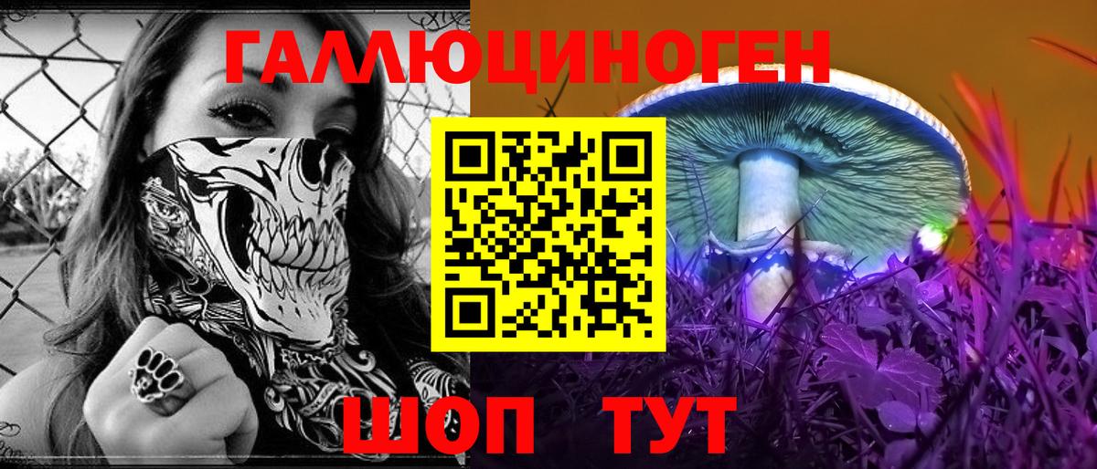 Улан-Удэ  Псилоцибиновые грибы мицелий  Галлюциногенные грибы Cubensis  Вход с VPN 