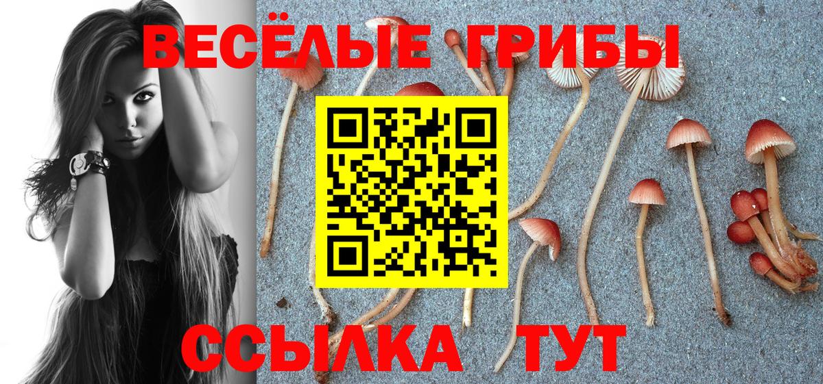 Псилоцибиновые грибы GOLDEN TEACHER Улан-Удэ